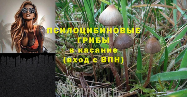 jwh Белокуриха