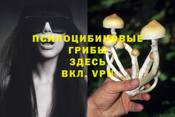 каннабис Беломорск